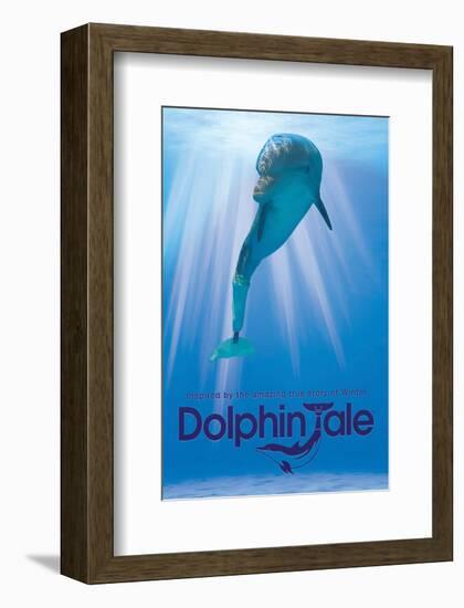 Dolphin Tale II-null-Framed Art Print