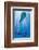 Dolphin Tale II-null-Framed Art Print