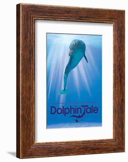 Dolphin Tale II-null-Framed Art Print