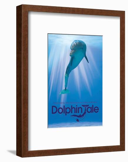 Dolphin Tale II-null-Framed Art Print