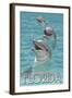 Dolphin Trio - Florida-Lantern Press-Framed Art Print