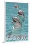 Dolphin Trio - Florida-Lantern Press-Framed Art Print