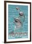 Dolphin Trio - Vero Beach, Florida-Lantern Press-Framed Art Print