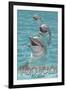 Dolphin Trio - Vero Beach, Florida-Lantern Press-Framed Art Print