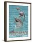 Dolphin Trio - Vero Beach, Florida-Lantern Press-Framed Art Print