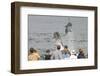 Dolphin watchers being eye balled by two leaping bottlenose dolphin (Tursiops truncatus truncatus)-Charlie Philips-Framed Photographic Print