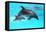 Dolphin With A Baby Floating In The Water-Elena Larina-Framed Stretched Canvas