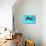 Dolphin With A Baby Floating In The Water-Elena Larina-Stretched Canvas displayed on a wall