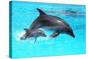 Dolphin With A Baby Floating In The Water-Elena Larina-Stretched Canvas