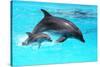 Dolphin With A Baby Floating In The Water-Elena Larina-Stretched Canvas