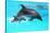 Dolphin With A Baby Floating In The Water-Elena Larina-Stretched Canvas