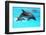 Dolphin With A Baby Floating In The Water-Elena Larina-Framed Premium Photographic Print