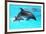 Dolphin With A Baby Floating In The Water-Elena Larina-Framed Photographic Print