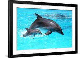 Dolphin With A Baby Floating In The Water-Elena Larina-Framed Photographic Print