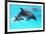 Dolphin With A Baby Floating In The Water-Elena Larina-Framed Photographic Print