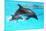 Dolphin With A Baby Floating In The Water-Elena Larina-Mounted Photographic Print