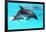 Dolphin With A Baby Floating In The Water-Elena Larina-Framed Photographic Print