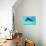 Dolphin With A Baby Floating In The Water-Elena Larina-Photographic Print displayed on a wall