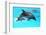 Dolphin With A Baby Floating In The Water-Elena Larina-Framed Photographic Print