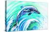 Dolphin-DannyWilde-Stretched Canvas