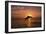 Dolphin-null-Framed Photographic Print