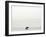 Dolphin-Toula Mavridou-Messer-Framed Photographic Print