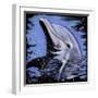 Dolphin-null-Framed Art Print