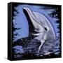 Dolphin-null-Framed Stretched Canvas