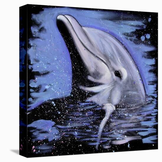 Dolphin-null-Stretched Canvas