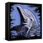 Dolphin-null-Framed Stretched Canvas