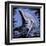 Dolphin-null-Framed Art Print