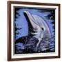 Dolphin-null-Framed Art Print