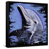 Dolphin-null-Framed Stretched Canvas