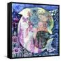 Dolphin-Oxana Zaika-Framed Stretched Canvas