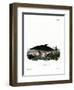 Dolphin-null-Framed Premium Giclee Print