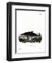 Dolphin-null-Framed Premium Giclee Print