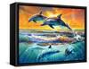 Dolphins at Dawn-Adrian Chesterman-Framed Stretched Canvas