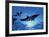 Dolphins, Bahamas-Dale Sanders-Framed Art Print