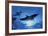 Dolphins, Bahamas-Dale Sanders-Framed Art Print