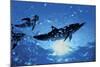 Dolphins, Bahamas-Dale Sanders-Mounted Art Print