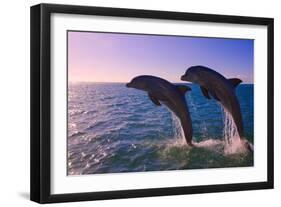 Dolphins Leaping from Sea, Roatan Island, Honduras-Keren Su-Framed Photographic Print