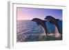 Dolphins Leaping from Sea, Roatan Island, Honduras-Keren Su-Framed Photographic Print