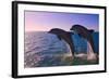 Dolphins Leaping from Sea, Roatan Island, Honduras-Keren Su-Framed Photographic Print