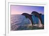 Dolphins Leaping from Sea, Roatan Island, Honduras-Keren Su-Framed Photographic Print