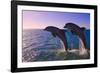 Dolphins Leaping from Sea, Roatan Island, Honduras-Keren Su-Framed Photographic Print