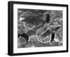 Dolphins, May 1964-null-Framed Photographic Print