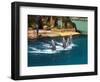 Dolphins, Sea World, Gold Coast, Queensland, Australia-David Wall-Framed Photographic Print