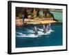 Dolphins, Sea World, Gold Coast, Queensland, Australia-David Wall-Framed Photographic Print