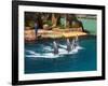 Dolphins, Sea World, Gold Coast, Queensland, Australia-David Wall-Framed Photographic Print