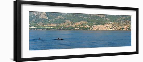 Dolphins Seen Near Brac Island on the Dalmatian Coast, Adriatic, Croatia, Europe-Matthew Williams-Ellis-Framed Photographic Print